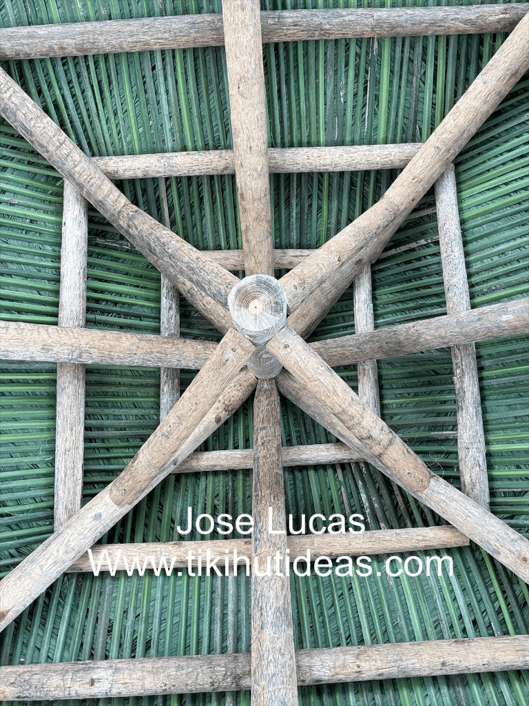 Natural wood and green thatch ceiling